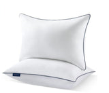 Hygienic Waterproof Pillow